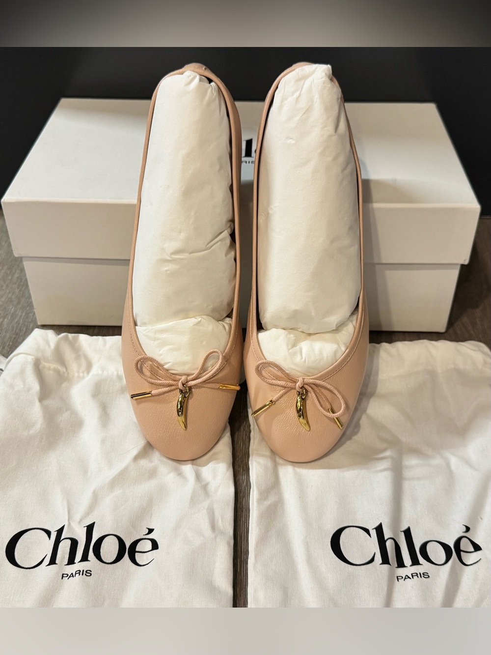 CHLOE Iris Ballet Flat in Blush Biege